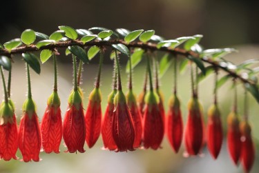 佛山三水区5私人快速借钱网，轻松解决资金难题