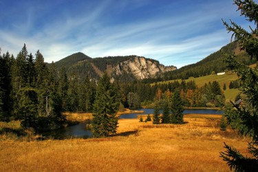 佛山三水区5民间私贷攻略：揭秘低成本借贷的秘密