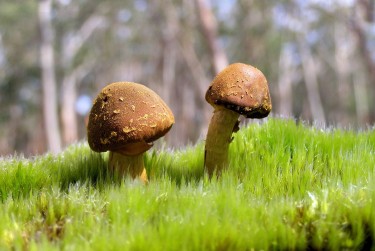 佛山三水区5私人老板放款：轻松融资的秘密通道